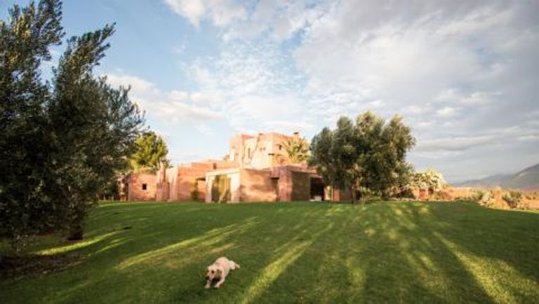 Villa on a hill, with dog on the grass