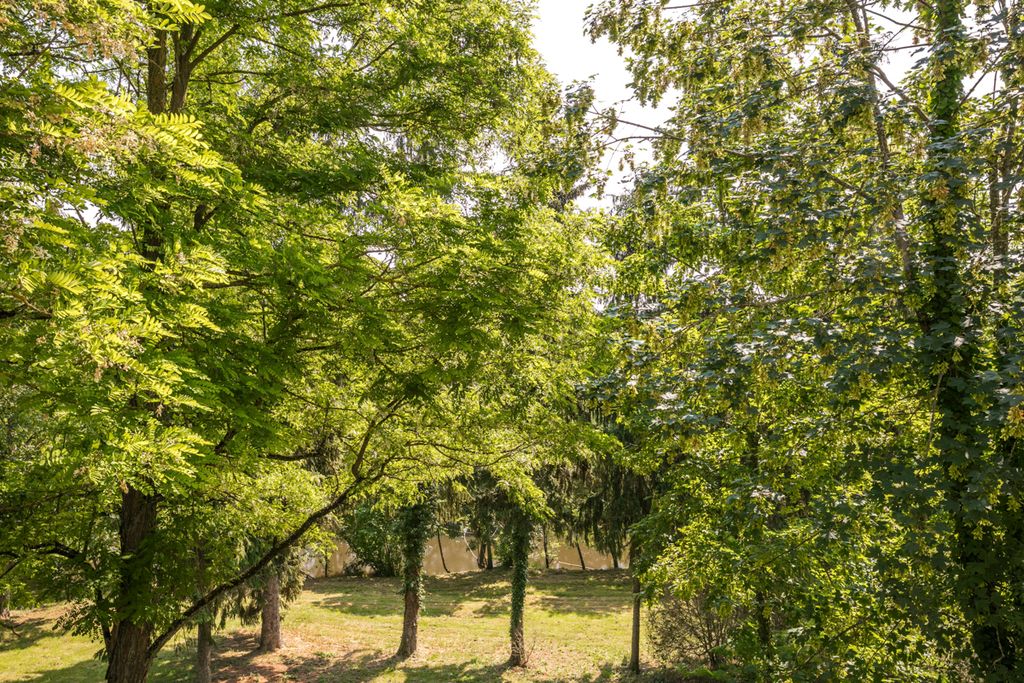 The Secret Hamlet Olivers Travel6