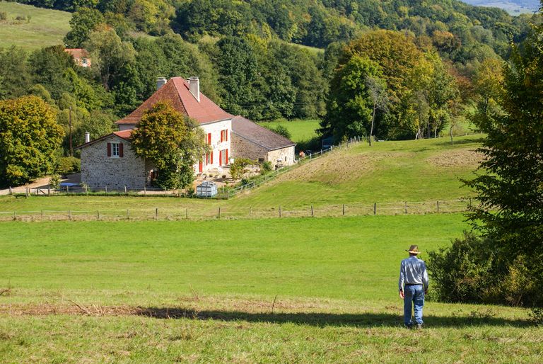 Chateau in field