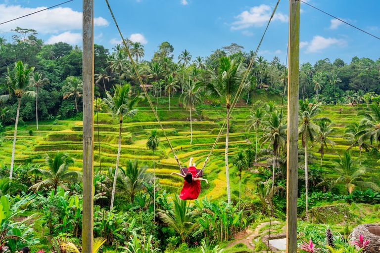 Young Female Tourist In Red Dress Enjoying The Bali Swing At Tegalalang Rice Terrace In Bali