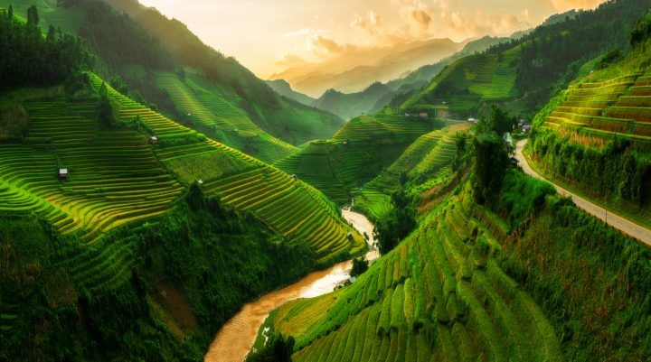 Terraced Rice Field In Mu Cang Chai, Vietnam