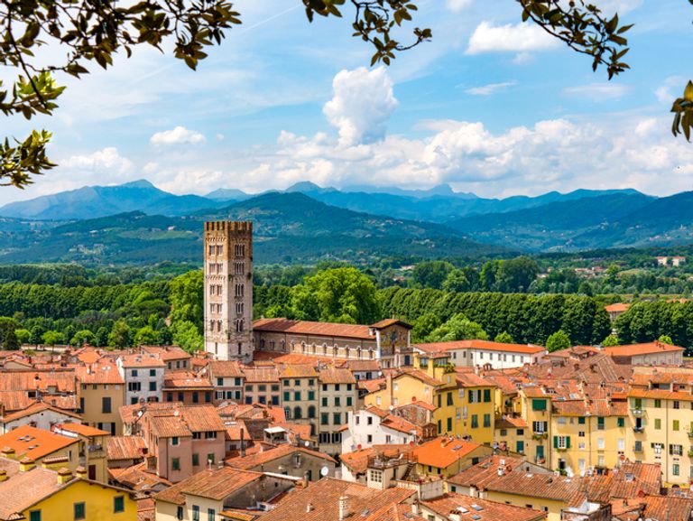 View of Rooftops in Lucca