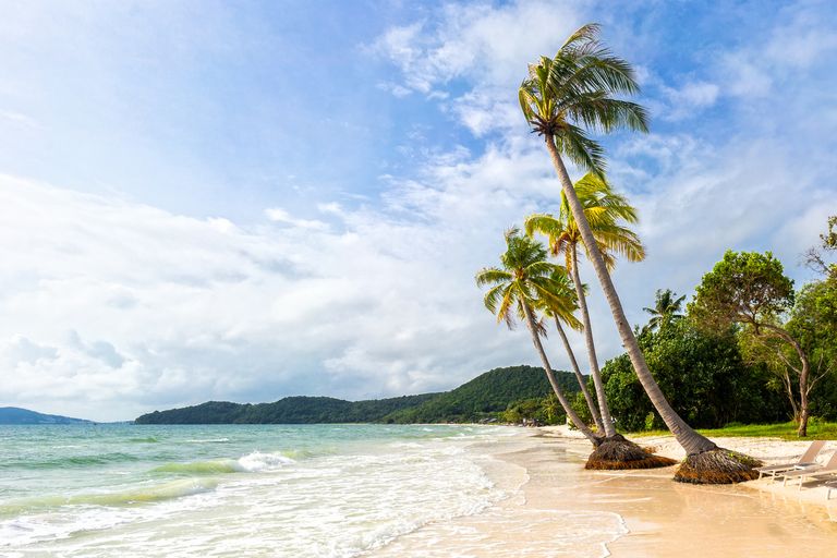 Tropical Palms On Bai Sao Beach