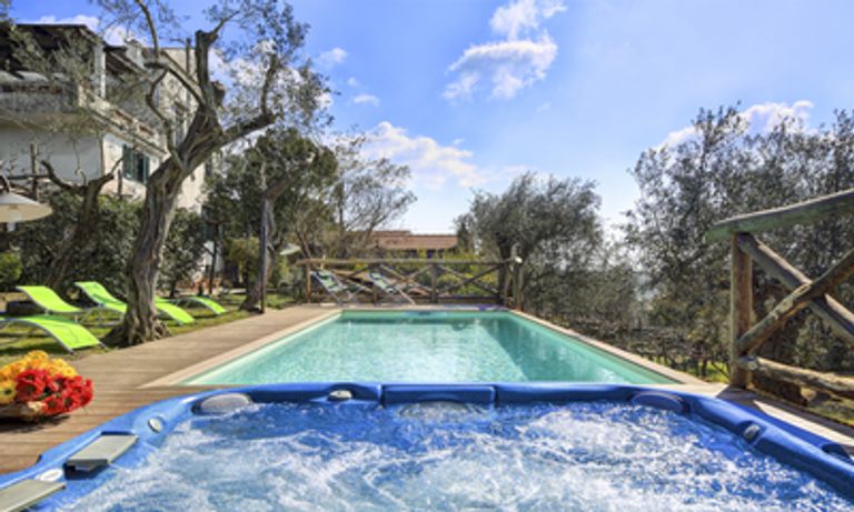 Jacuzzi, pool surrounded by trees