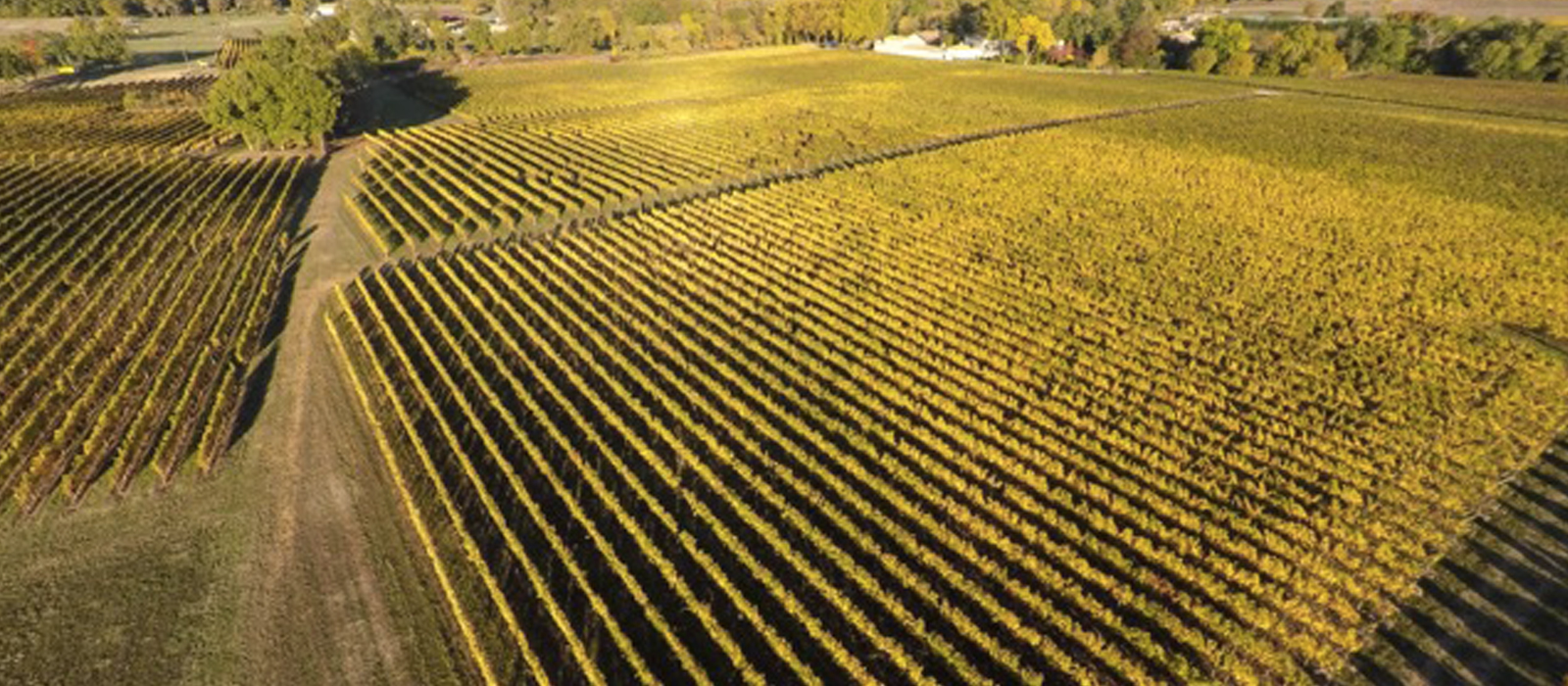 Domaine Bordeaux Origami