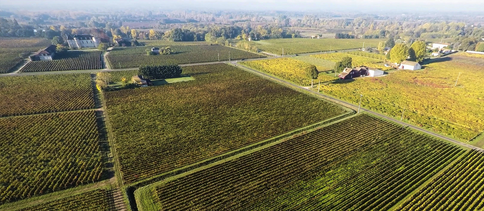 Château La Chapelle Lescours